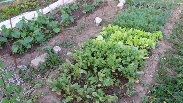 Дом в селе Нефедьево смотреть онлайн