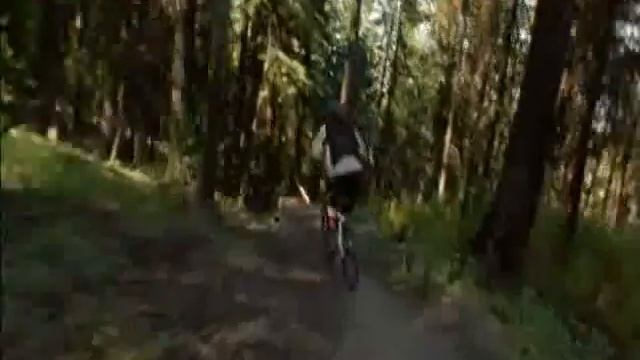 extreme downhill - freeride - mtb DH new world disorder #6 смотреть онлайн