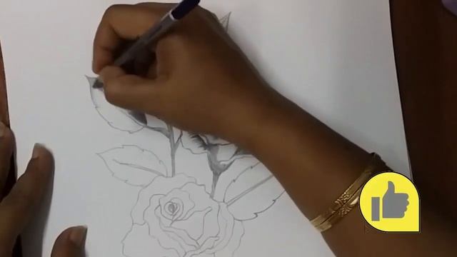 How To Draw A Rose Easy For Kids | How To Sketch A Rose Step By Step For Beginners | Rose Drawings смотреть онлайн