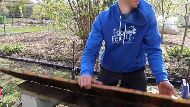 How to Build a RAISED BED Using PALLETS, FREE Backyard Gardening смотреть онлайн