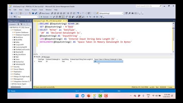 4.SQL SERVER NCHAR DATA TYPE смотреть онлайн