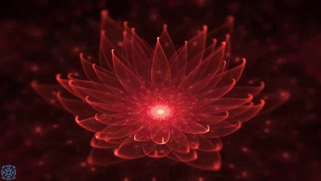 Root Chakra Alignment, Let Go Of Negative Energy, Remove Fear & Anxiety, Calming Music смотреть онлайн