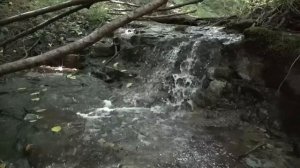 Мощная Матрица Для Женщин. Женская Гинекология.