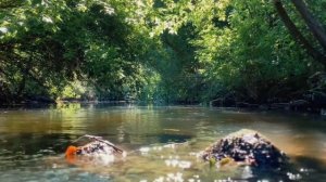 Спиннинг Гаммарус! Мормышинг или  Небольшая рыбалка со спиннингом Гаммарус (Gammarus)