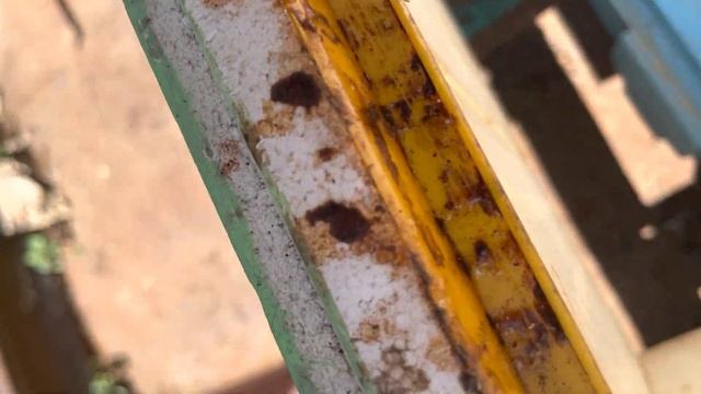 Плюсы и минусы дерева и пены смотреть онлайн