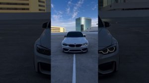 M3