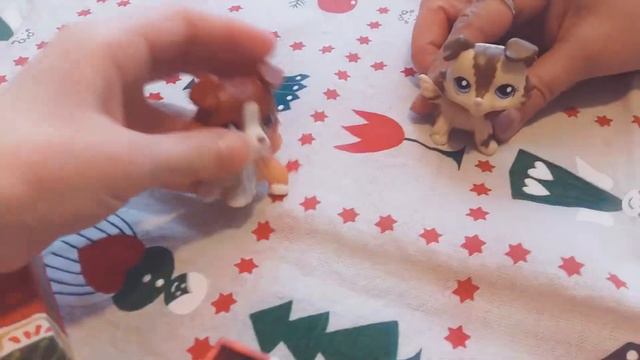 Распаковка КОЛЛИ СТОЯЧКИ смотреть онлайн