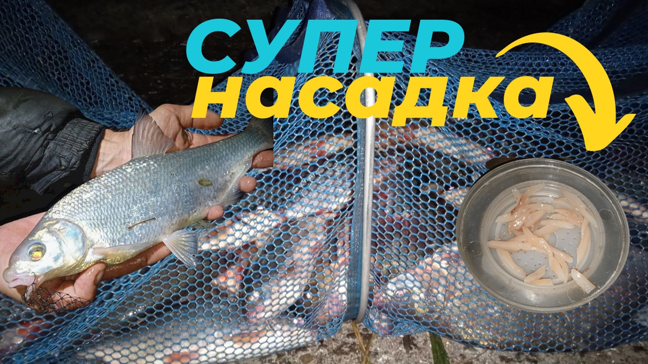 ЭТА НАСАДКА,КОСИТ МИРНУЮ РЫБУ ВЕСНОЙ И ОСЕНЬЮ. КТО БЫ МОГ ПОДУМАТЬ,ЧТО ОНА РЕАЛЬНО РУЛИТ. смотреть онлайн