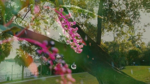 Alina Donica - Парусник (2019 Official Music Video) смотреть онлайн