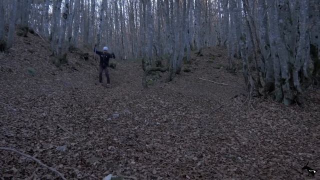 На ЛЫЖАХ по ЛИСТЬЯМ! Сумасшедшие лыжники!! смотреть онлайн