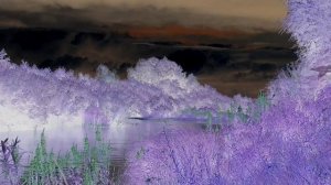 Настрой на здоровый сон 2 вариант Для женщин Новая версия  Сытин Г.Н.