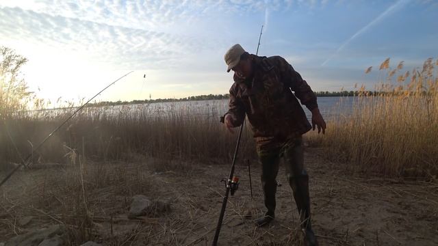 #17 Клевая Рыбалка с Берега на Волге Ловля Голавля на Донку Закидушку смотреть онлайн