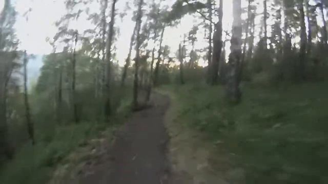Акация смотреть онлайн
