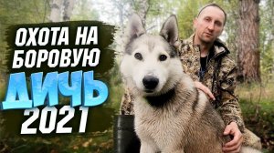 Открытие охоты 2021.Перепутал патрон.Жизнь в тайге.Глухариный оливье.