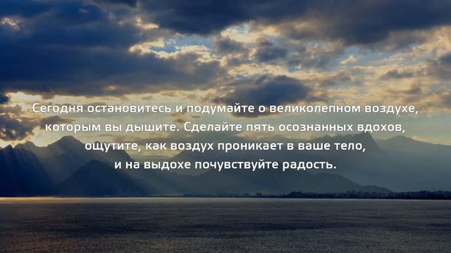 Благодарность за магический воздух | Практика благодарности | День 23 смотреть онлайн