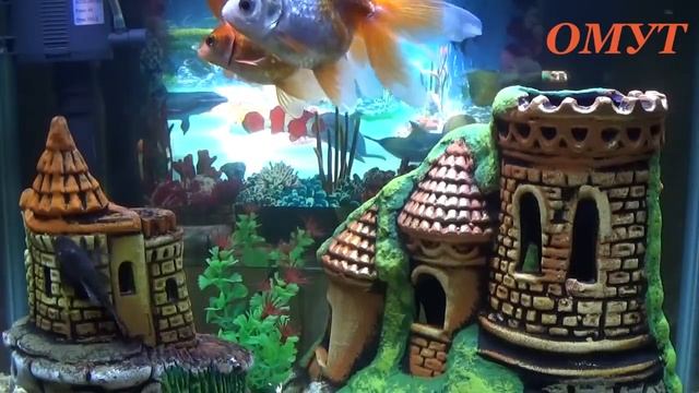 168. Ответы на Ваши вопросы с инстаграм - 1 часть... смотреть онлайн