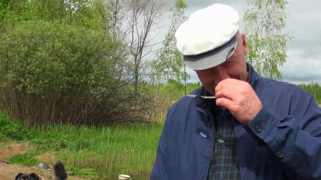 Один день с Алексеем Гусевым. Ярославль. смотреть онлайн