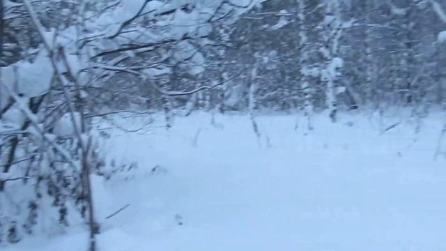 MVI 0494 смотреть онлайн