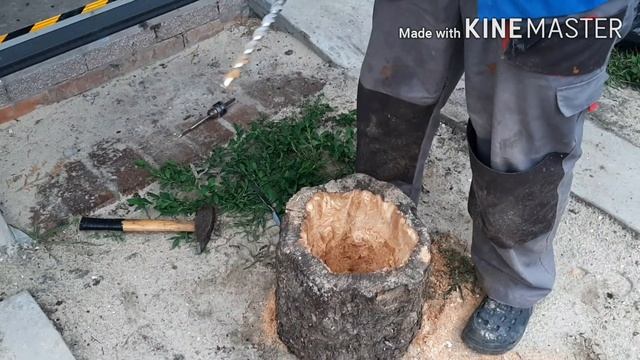 Лайфхак. Клумба из пенька за 5 минут !!! смотреть онлайн