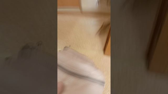 любой школьник 1-2 сентября