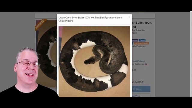 How to Make a 'Poor Mans Pied'! смотреть онлайн