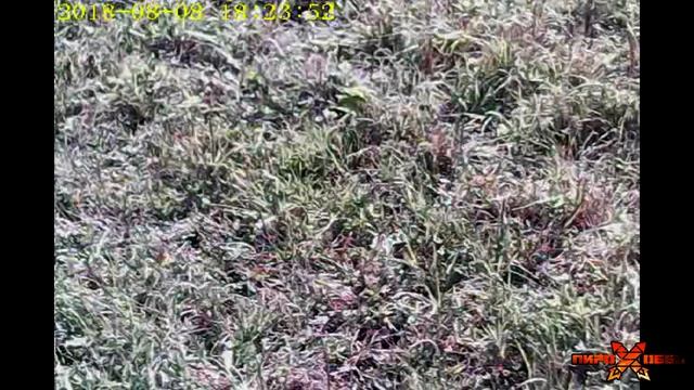 Ракета Пирохобби смотреть онлайн