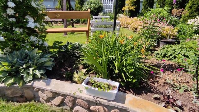 ПРОГУЛКА ПО РАЙСКОМУ САДУ ТАМАРЫ ????? ДИЗАЙН САДА СВОИМИ РУКАМИ ??walk in a beautiful garden смотреть онлайн