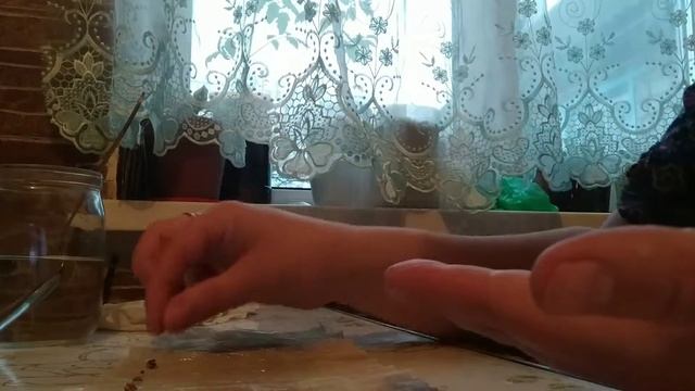 Свекла в улитке, без земли!!! Отличные всходы, сорт бордо.))) смотреть онлайн