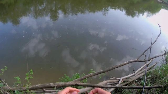 О такой рыбалке я мечтал (голавль,подлещик,густера) Рыбалка в мае на поплавок 2021. смотреть онлайн