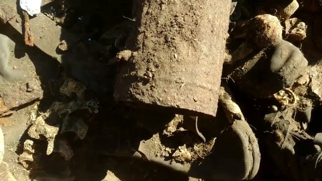 FOUND A TRENCH WITH GERMAN WWII SOLDIERS / WW2 METAL DETECTING смотреть онлайн