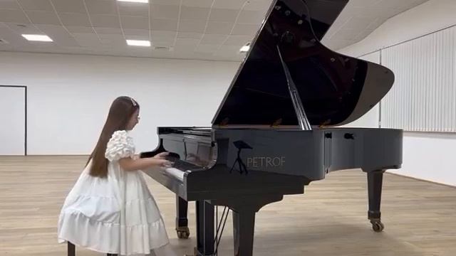 Bora Maliqi- Denniz Alexander "Titanium Toccata" Vianna International Paul Badura-Skoda PIANO Comp. смотреть онлайн