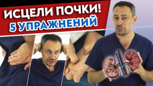 Эффективный комплекс упражнений для почек. Диагностика заболеваний почек.