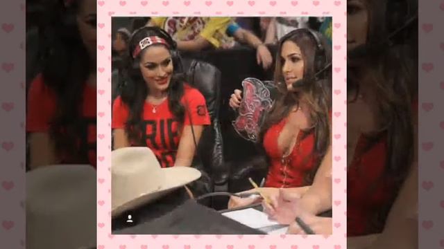 The bella twins pictures we miss you!!