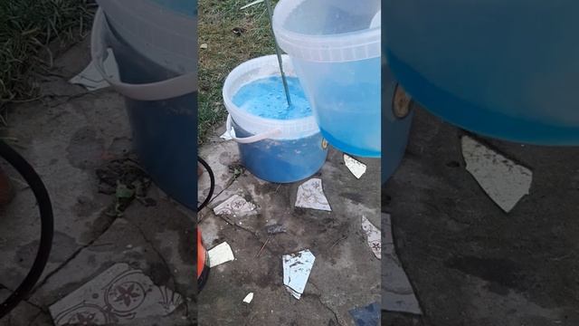 Как сохранить саженцы роз до весны, приобретённые в ноябре? смотреть онлайн