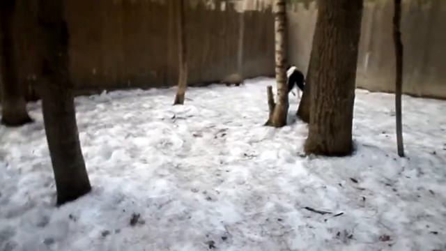 SAM 0626 смотреть онлайн