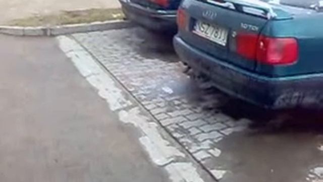 AUDI 80 1.9 TDI cold engine смотреть онлайн