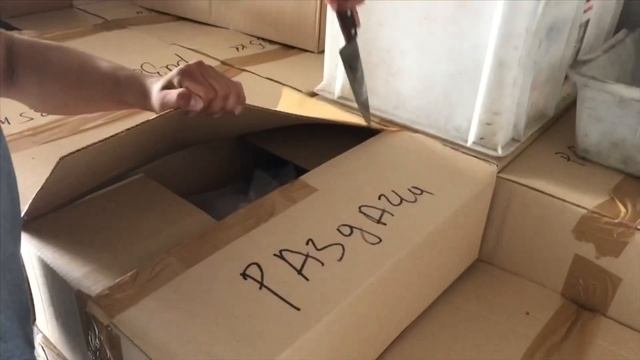 Курбан байрам 2020 с общиной Мусульман Рисалят смотреть онлайн