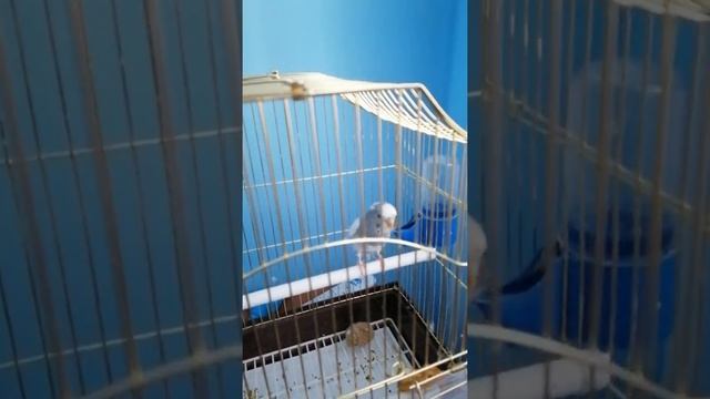 Обзор на моё рабочее место. смотреть онлайн