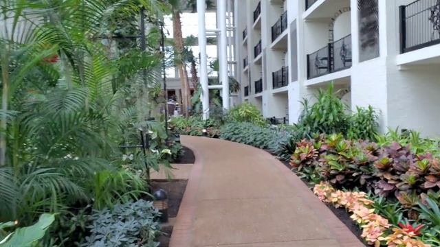 Наша поездка в Нэшвил, штат Теннесси День 1 смотреть онлайн