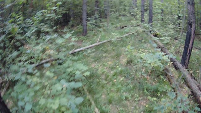 выйти к оврагу смотреть онлайн