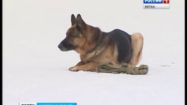 Профессия полицейского-кинолога (ГТРК Вятка) смотреть онлайн