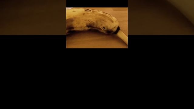 Никогда не ешьте бананы и ВОТ ПОЧЕМУ... смотреть онлайн