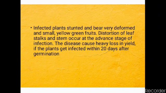 Vein clearing disease of okra / bhindi смотреть онлайн