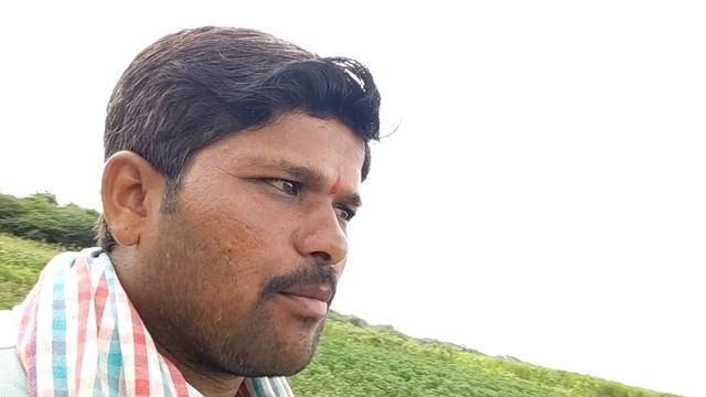 Menasinakai Krushi Kannada #chilli Farming,#chilli Cultivation