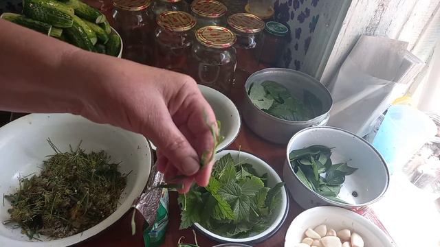 Любимый рецепт для закрутки.🥒🥒🥒Танюшкины вкусняшки. смотреть онлайн