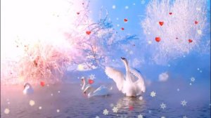 ФУТАЖ ЛЕБЕДИ