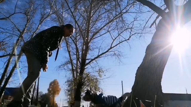 🍁 Autumn Dog Tricks performed by Biewer Terrier Persik ✨ смотреть онлайн