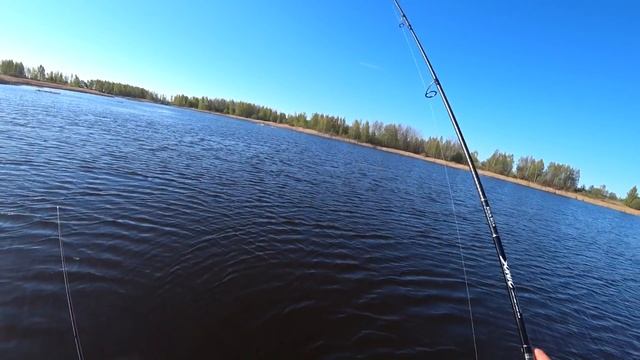 ТРОФЕЙНАЯ ЩУКА. ЛОВЛЯ КРУПНОЙ ЩУКИ НА БЛЕСНУ. БЛЕСНА НА ЩУКУ. РЫБАЛКА смотреть онлайн