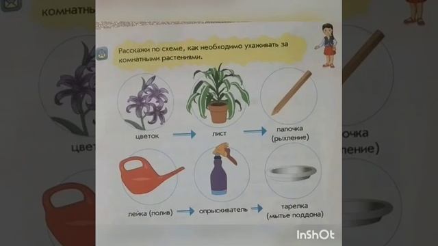 32 Естествознание Как помочь растениям и животным смотреть онлайн