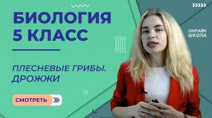 Плесневые Грибы. Дрожжи. Урок 18. Биология 5 класс